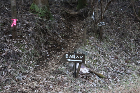 e0272335_5134636.jpg