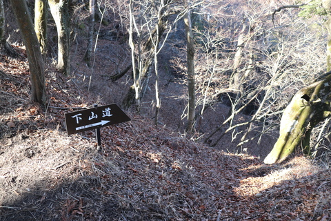 e0272335_554443.jpg