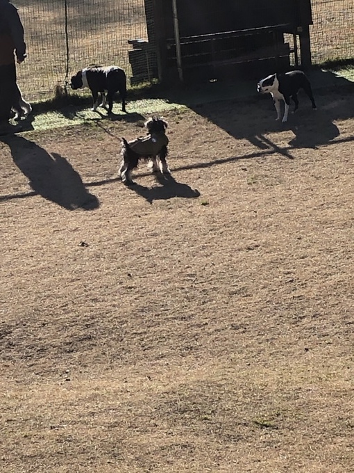 b0369239_17252386.jpeg