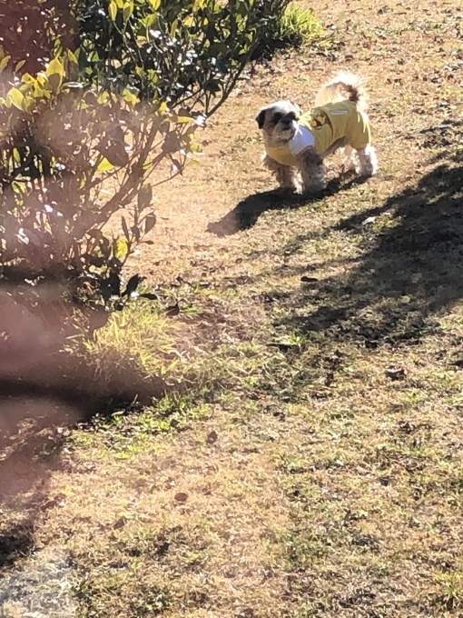 b0369239_17304823.jpeg