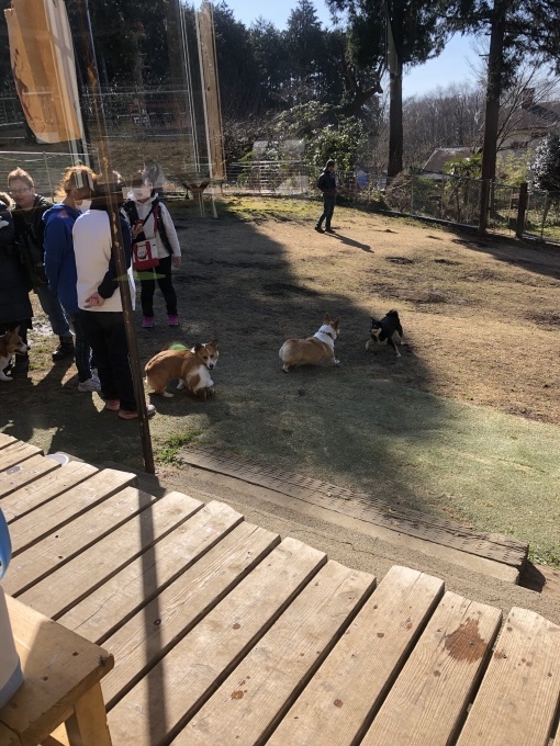 b0369239_17313622.jpeg