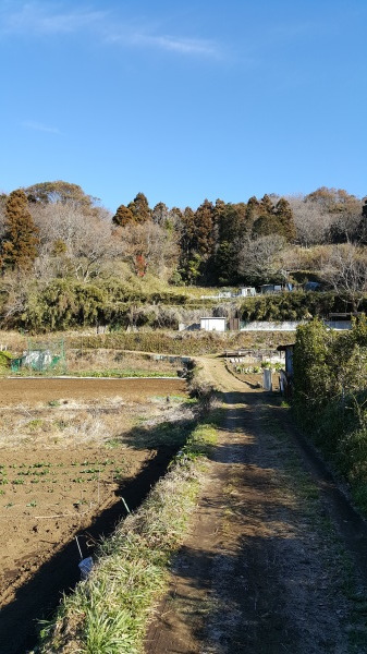 f0357044_11005661.jpg