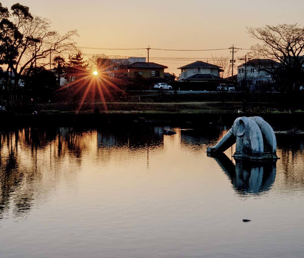 ✔ 江津湖の夕暮れ時=熊本市:上江津湖_d0238245_19370544.jpg