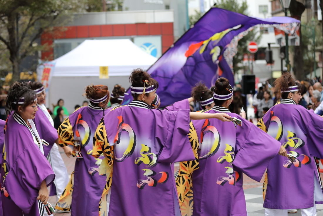 横浜よさこい祭り2018 #9_f0364847_13025413.jpg