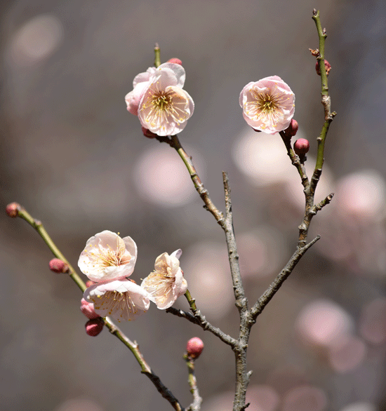 a0001354_23174962.gif
