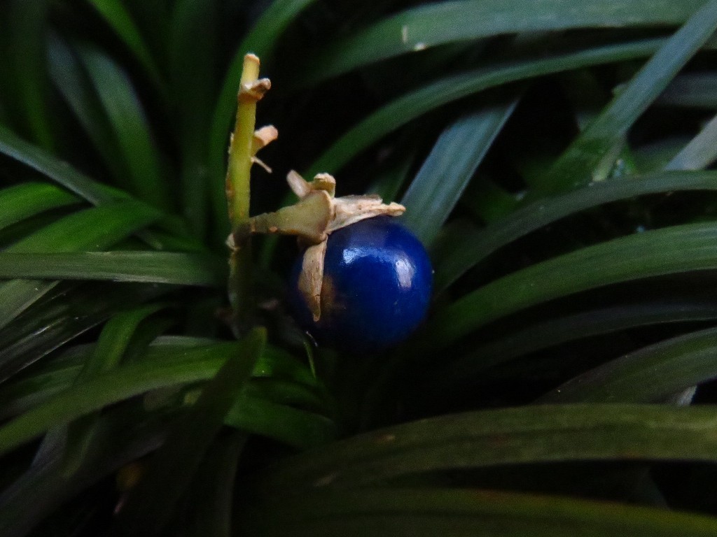a0018655_09351665.jpg