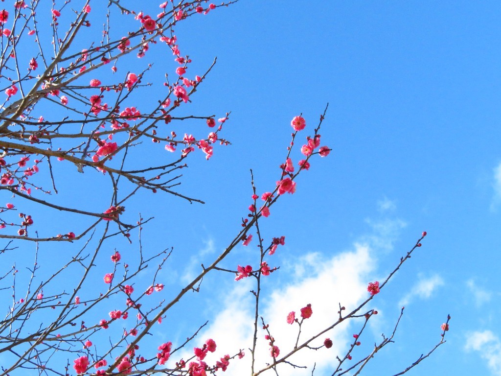 a0018655_09540347.jpg