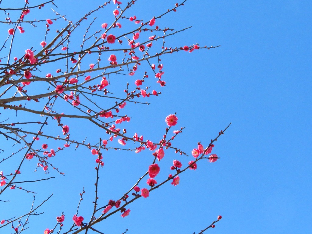 a0018655_09540391.jpg