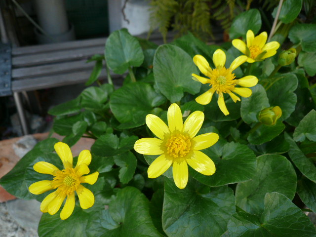 c0043055_10140832.jpg