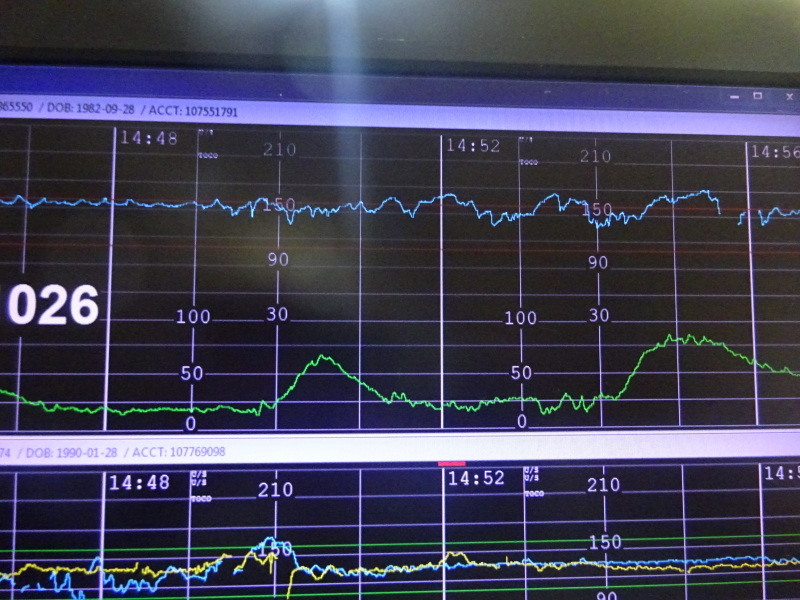 f0198556_12003496.jpeg