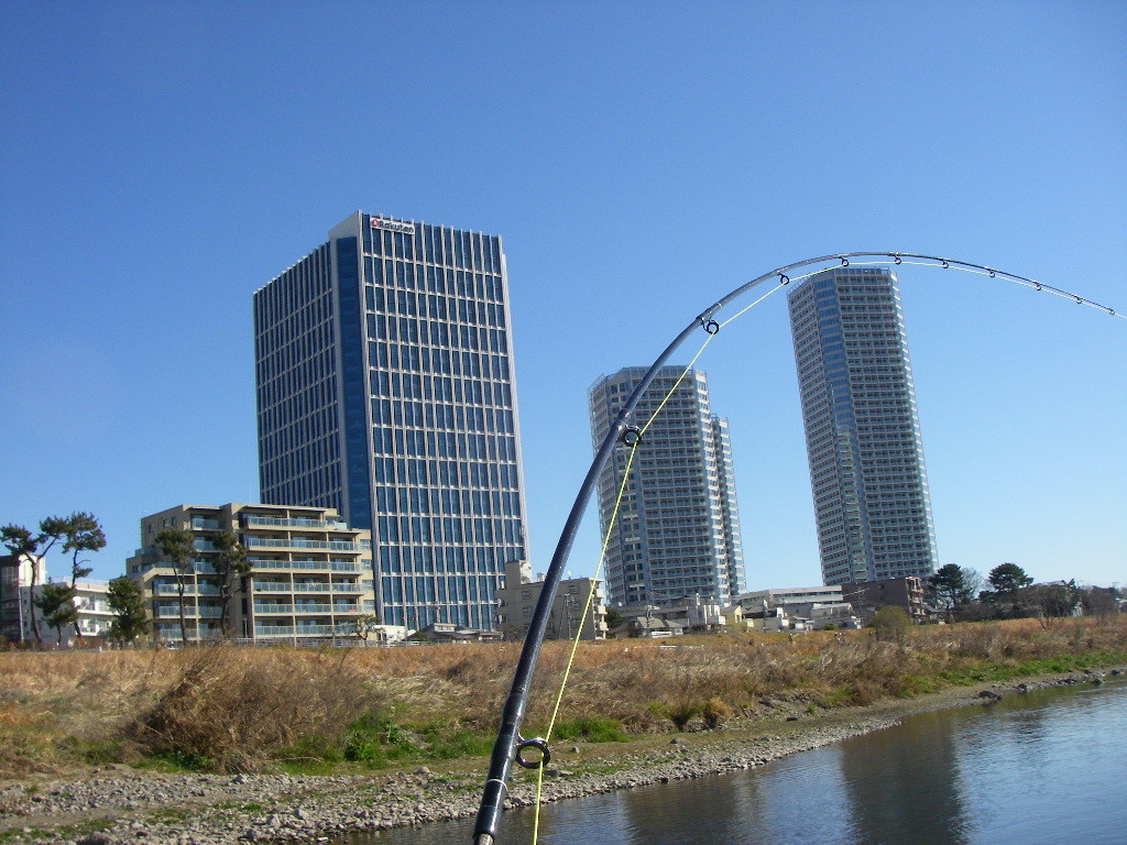 a0130057_21171294.jpg