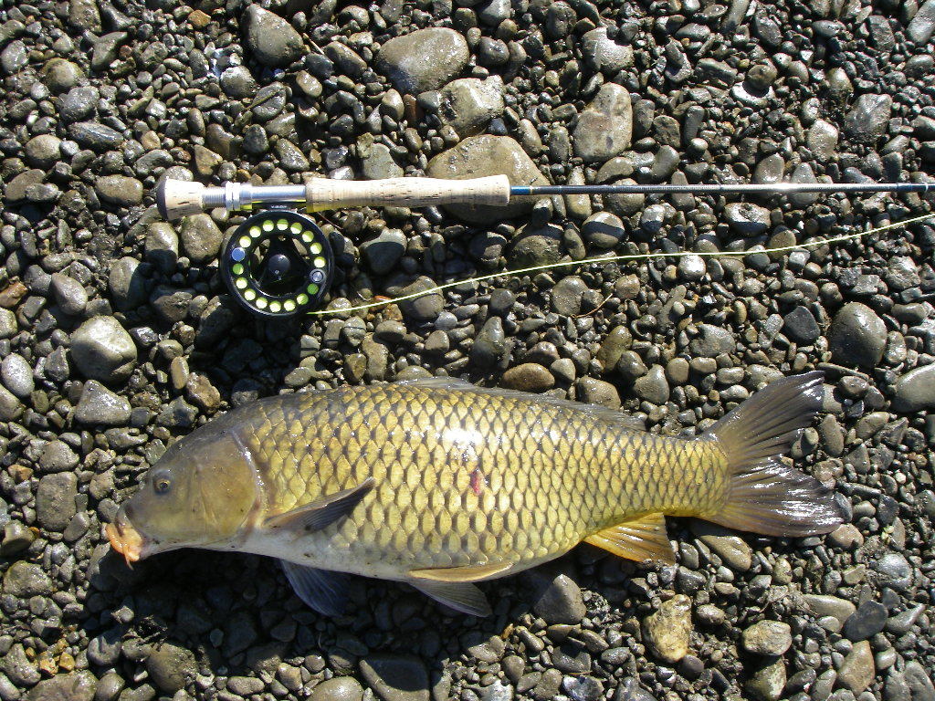 a0130057_22020214.jpg