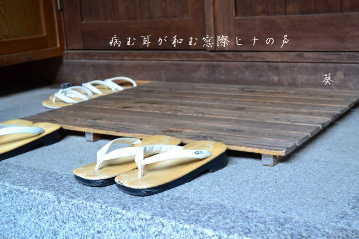 f0379160_16474278.jpg