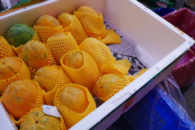 b0358575_22325389.jpg