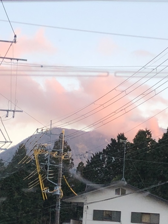 2019年1月19日   今日はこれに_b0098584_17543601.jpeg