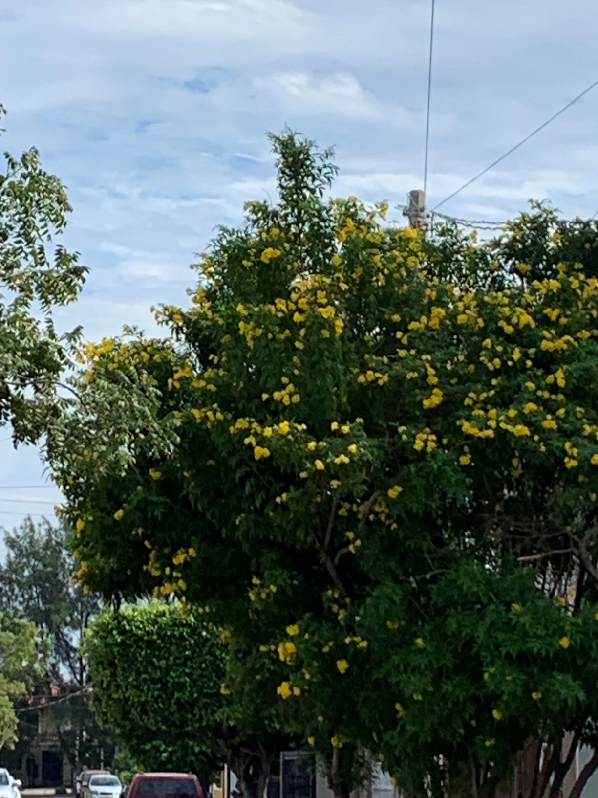 f0350787_15321537.jpg
