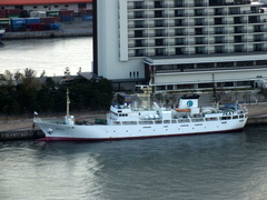 b0192588_815436.jpg