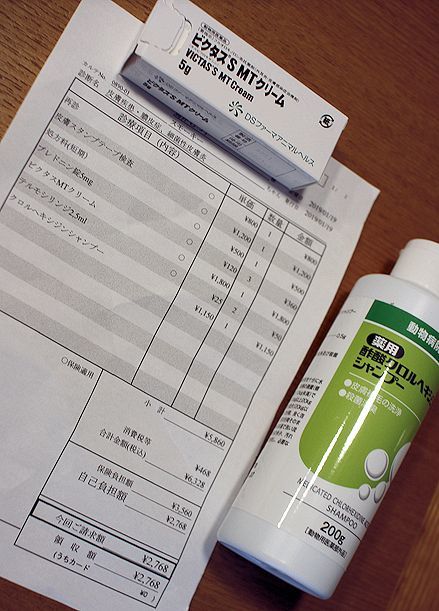 スモーキーを病院へ_c0090198_18051142.jpg