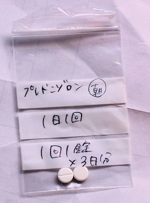 スモーキーを病院へ_c0090198_18052932.jpg