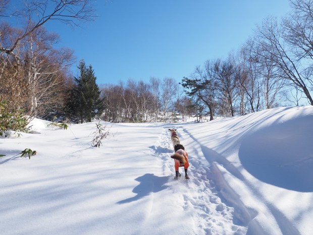 雪の峰の原へ♪（1/16～18）_d0117001_21504942.jpg