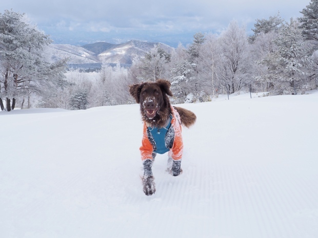 雪の峰の原へ♪（1/16～18）_d0117001_22054394.jpg