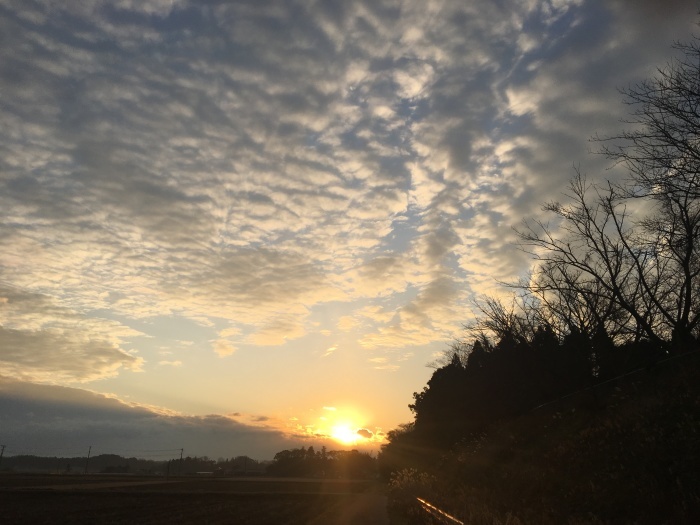 いやどうも_b0120103_08233685.jpeg