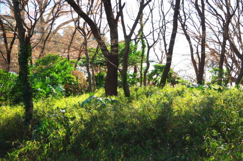 a0263109_10040621.jpg