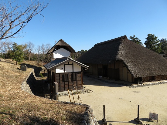 古民家で繭玉飾り（昭和記念公園）_e0255509_215386.jpg