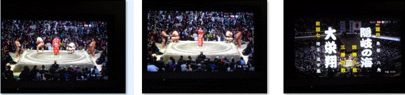 f0231709_21123957.gif