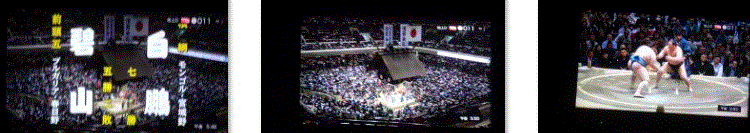 f0231709_21134264.gif