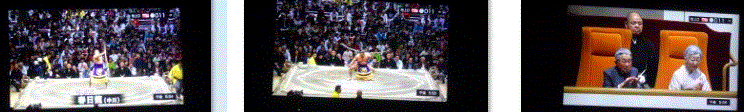f0231709_21213789.gif