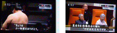 f0231709_21402866.gif