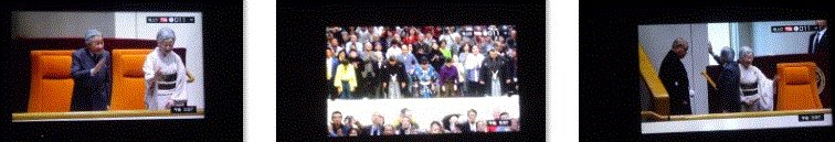 f0231709_21484094.gif