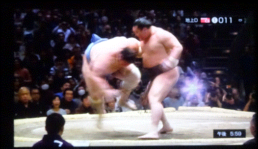 f0231709_22160518.gif