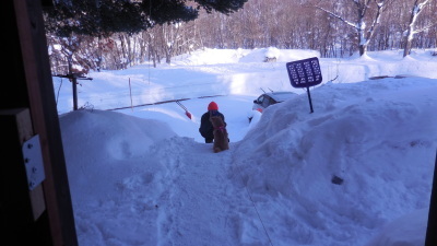 1月20日(日)　　晴天　　-2度_f0210811_09572552.jpg