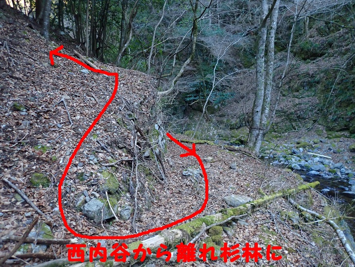 f0193521_1741569.jpg