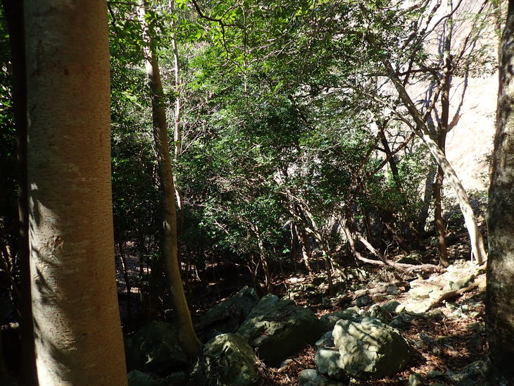 f0193521_18232852.jpg