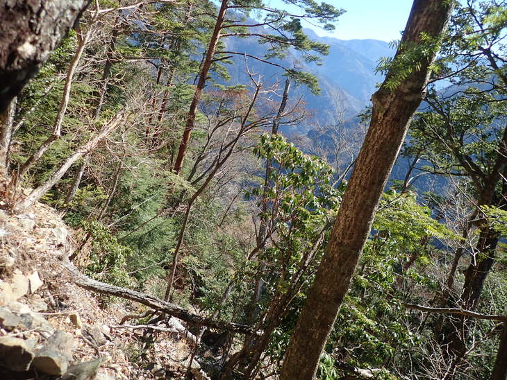f0193521_1832319.jpg
