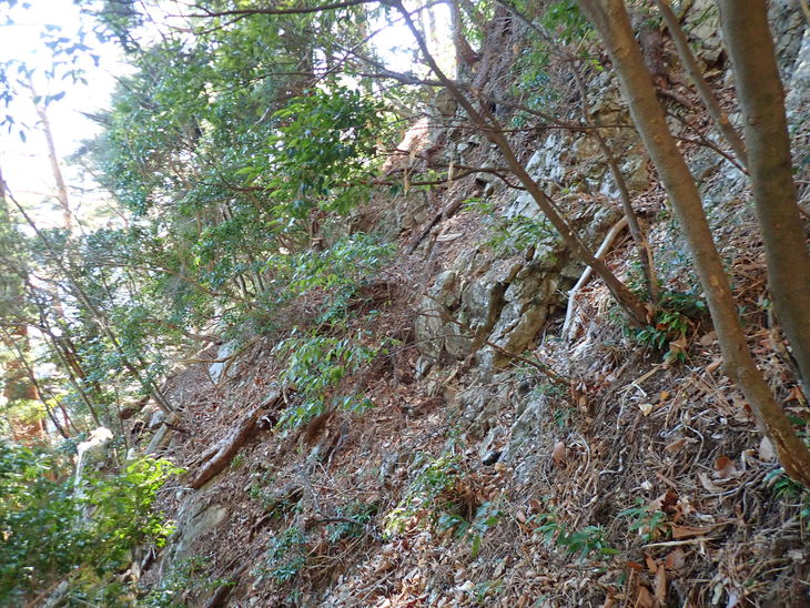 f0193521_1833106.jpg
