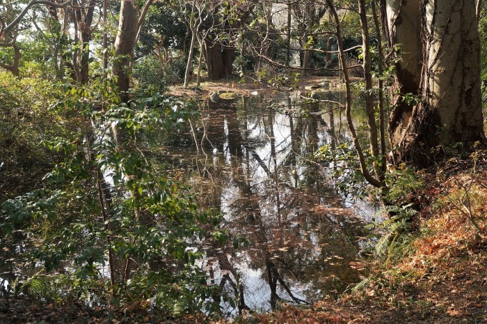 ■御朱印巡り 相模原当麻【時宗当麻山 無量光寺】_b0033423_21463914.jpg
