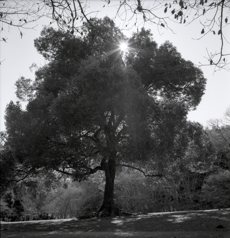 f0389323_21070440.jpg
