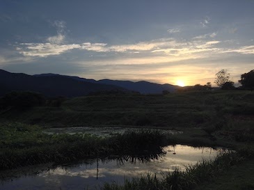 d0011725_10442199.jpg