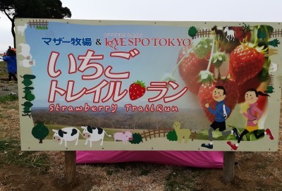 第６回マザー牧場いちごトレイルラン あと何ヶ月で ど素人が42 195kmを走れるようになるのか実験のブログ
