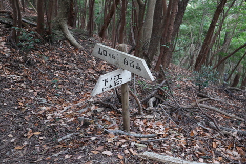 e0272335_16135544.jpg
