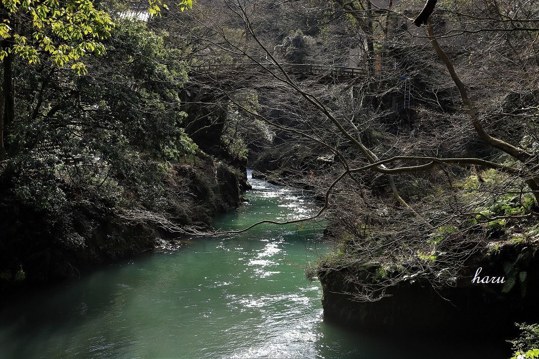 f0297537_10092548.jpg