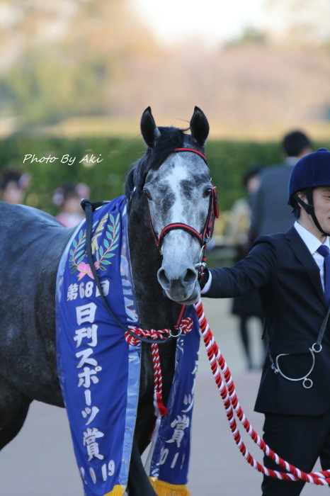 ウマフラー 芦毛 白 ホワイト JRA 非売品 京都競馬 京都金杯 ミニゼッケン ウマフラー 芦毛 白 ホワイト JRA 非売品 京都競馬 京都金杯