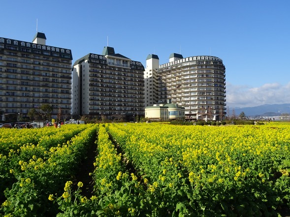 b0299042_13292526.jpg
