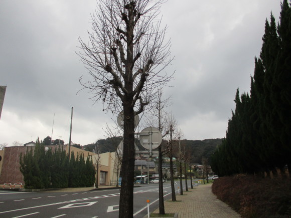 e0206847_09404992.jpg