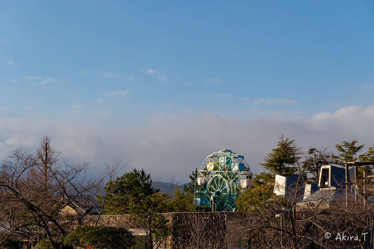 f0152550_16343827.jpg