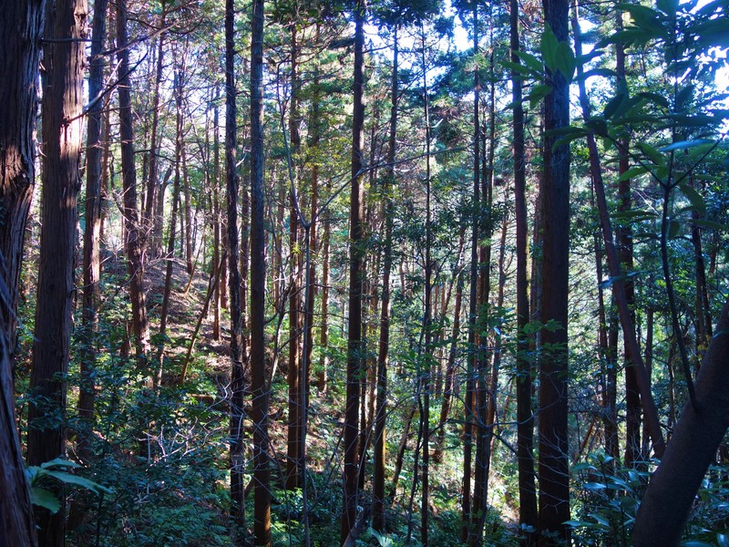 f0291154_1524337.jpg